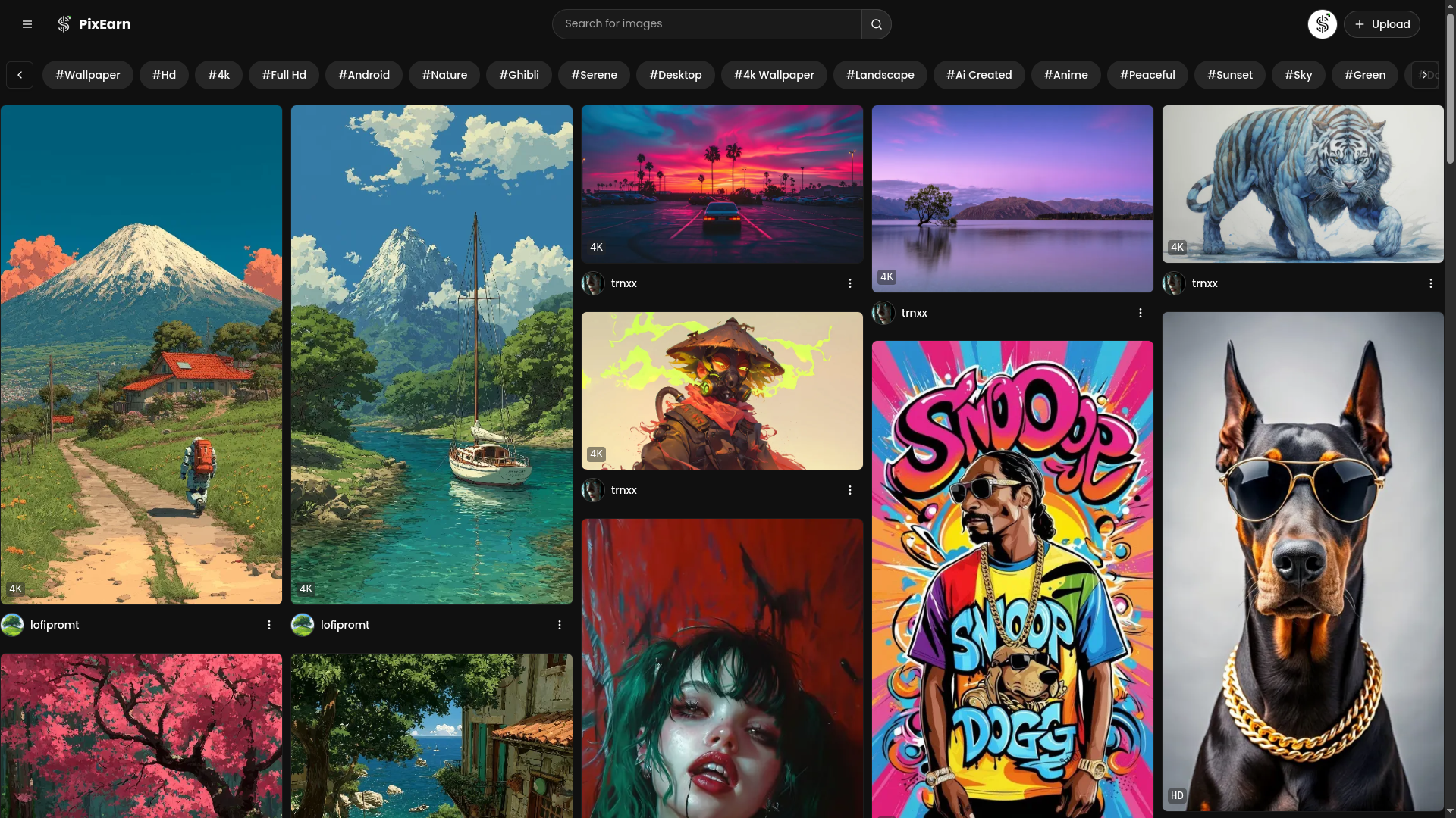 PixEarn gallery image