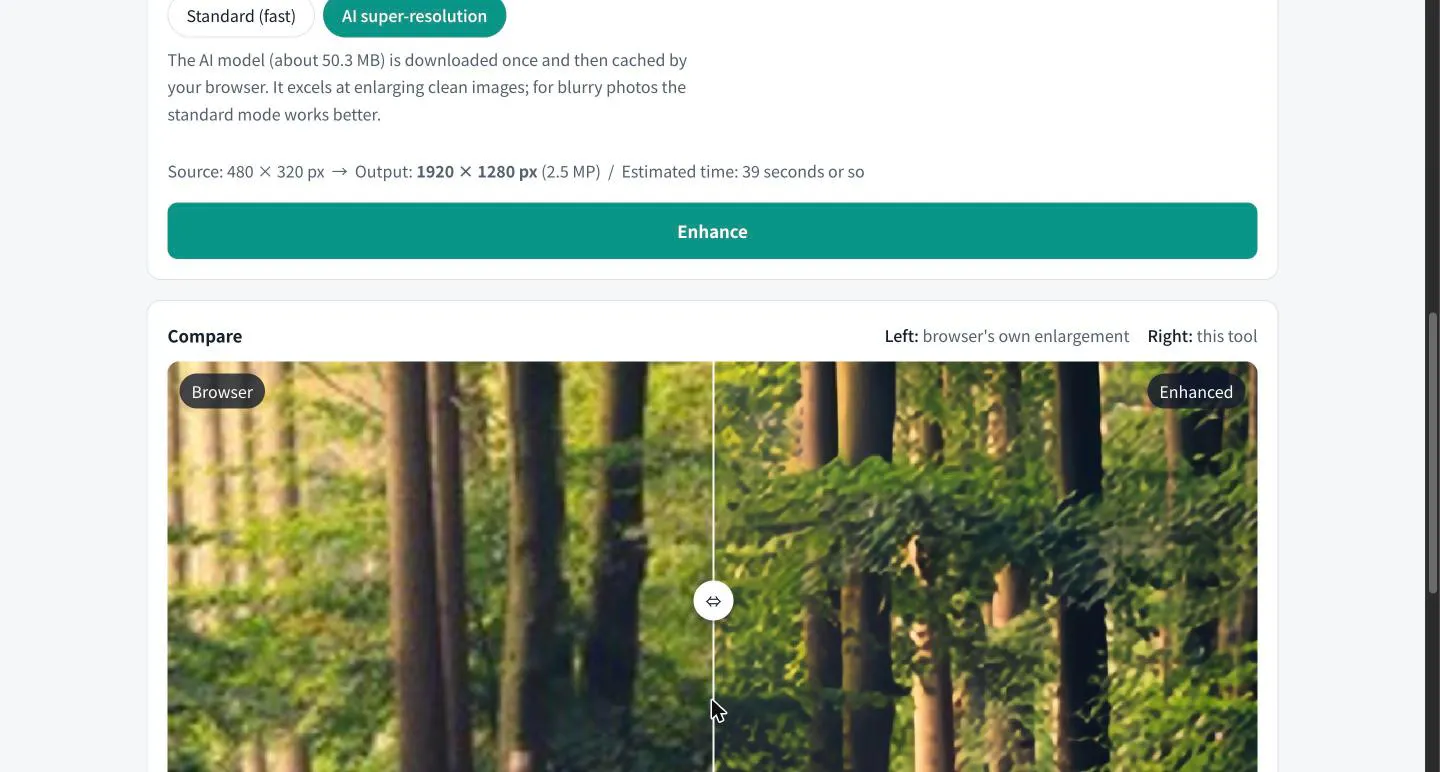 Image Upscaler gallery image