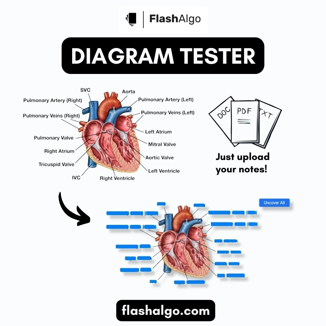 Flashalgo media 10