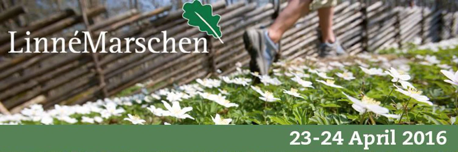 Alexander Lyabah cover