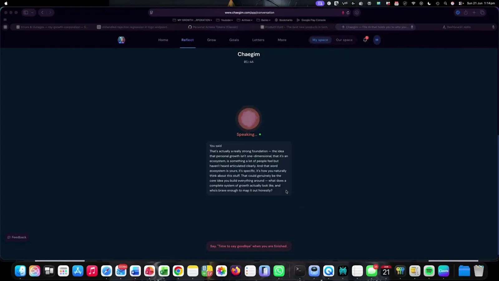 Chaegim screenshot 1 (video preview)