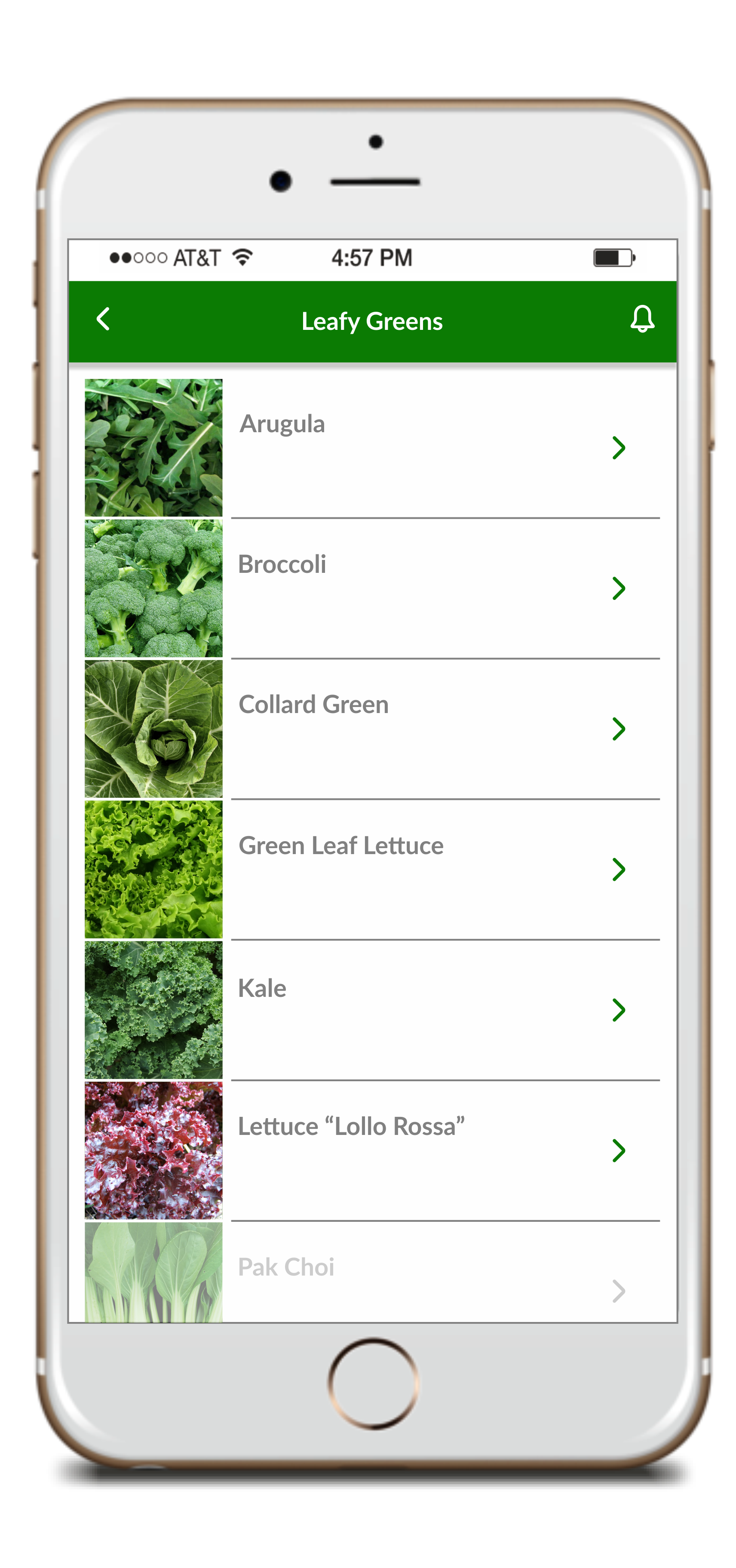 CityCrop gallery image