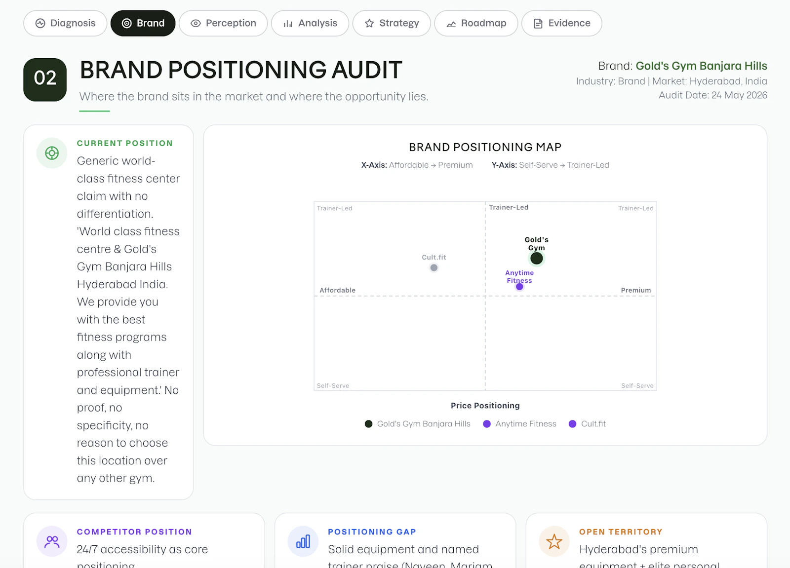 Brand Audit screenshot 5
