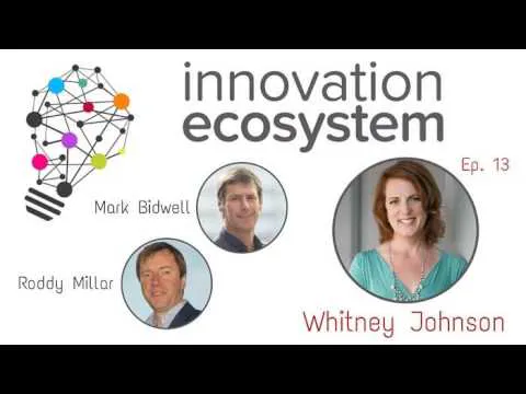 Innovation Ecosystem The Disruptive individual, Riding S curves and liberating constraints