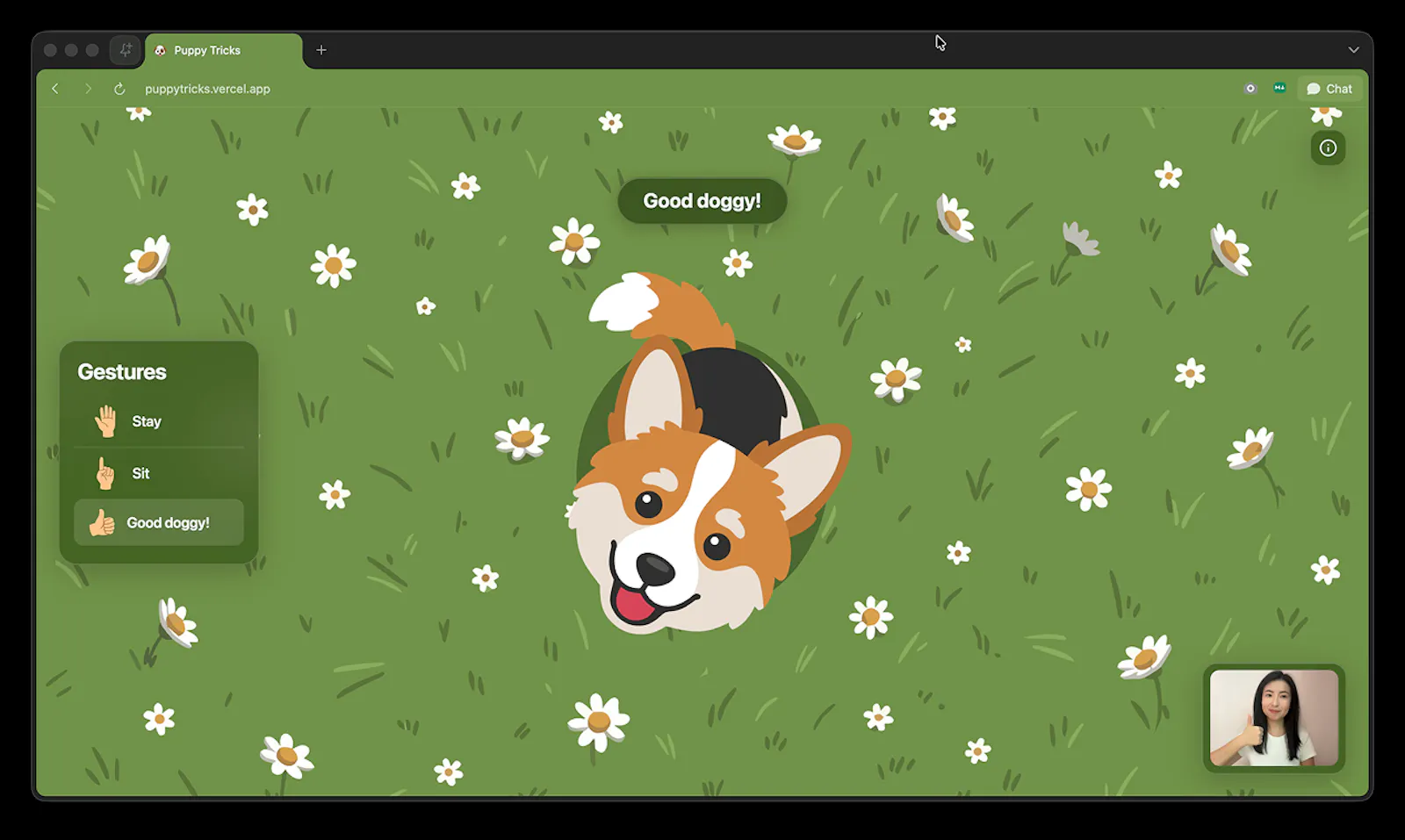 Puppy Tricks screenshot 1