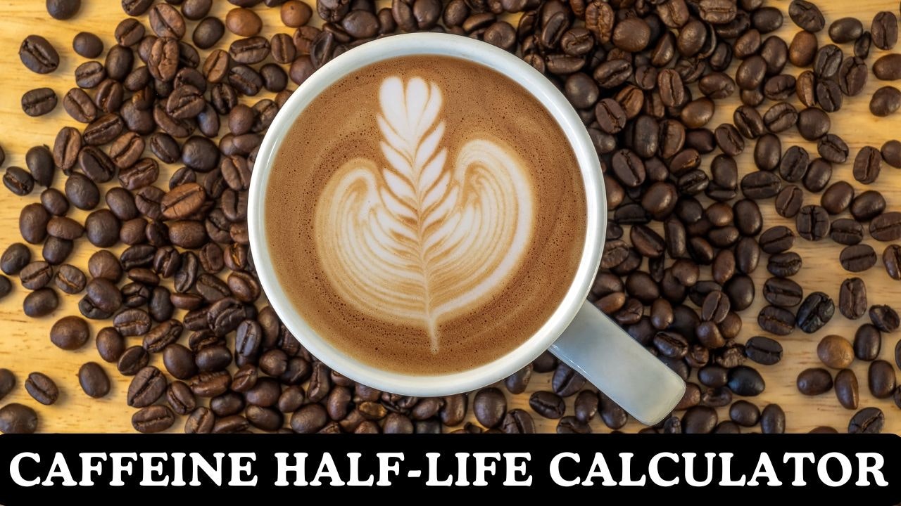 Caffeine Half-Life Calculator gallery image