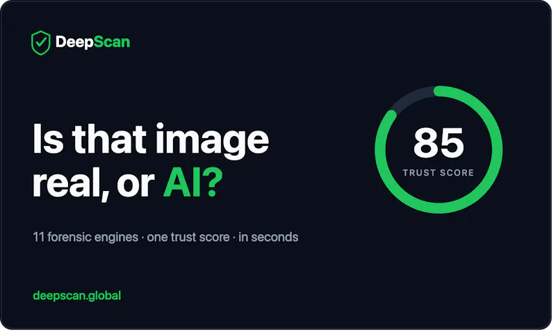 DeepScan screenshot 1