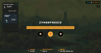 Sense Or Nonsense gallery image