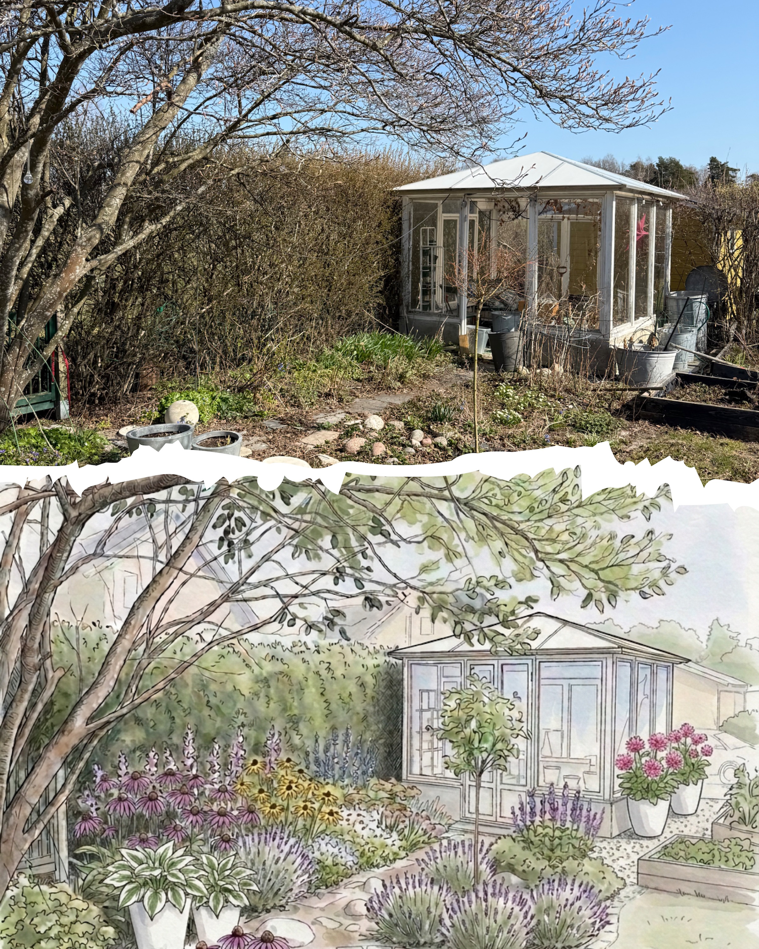 Ida Studio - AI garden design gallery image