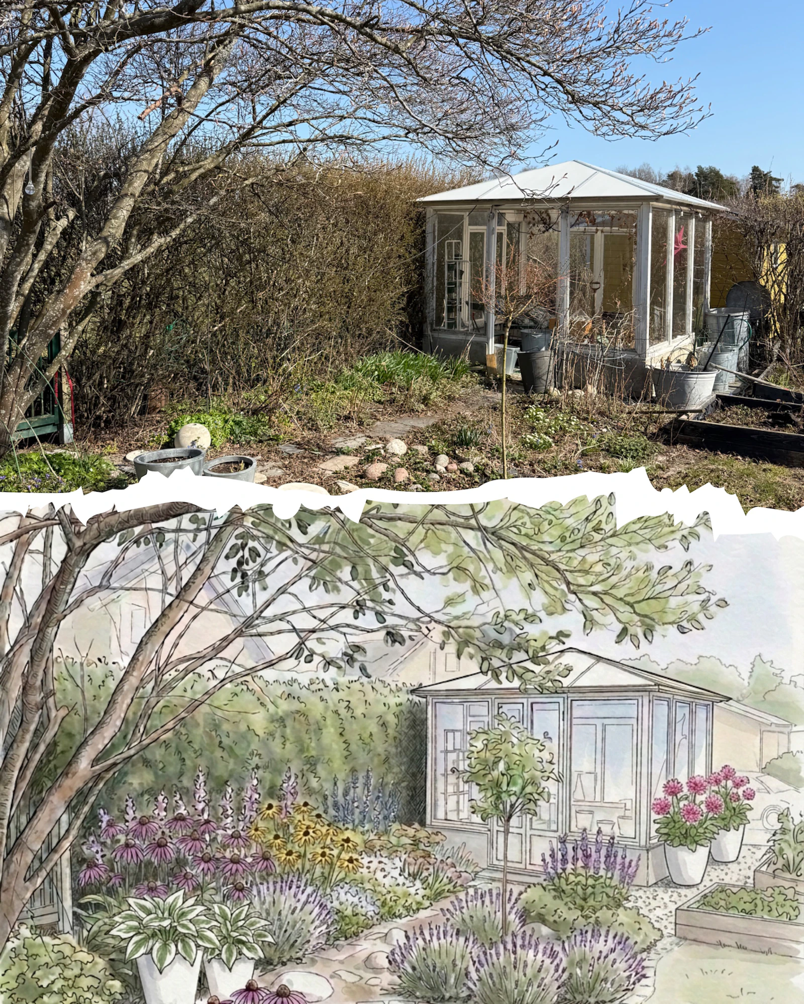 Ida Studio - AI garden design screenshot 3
