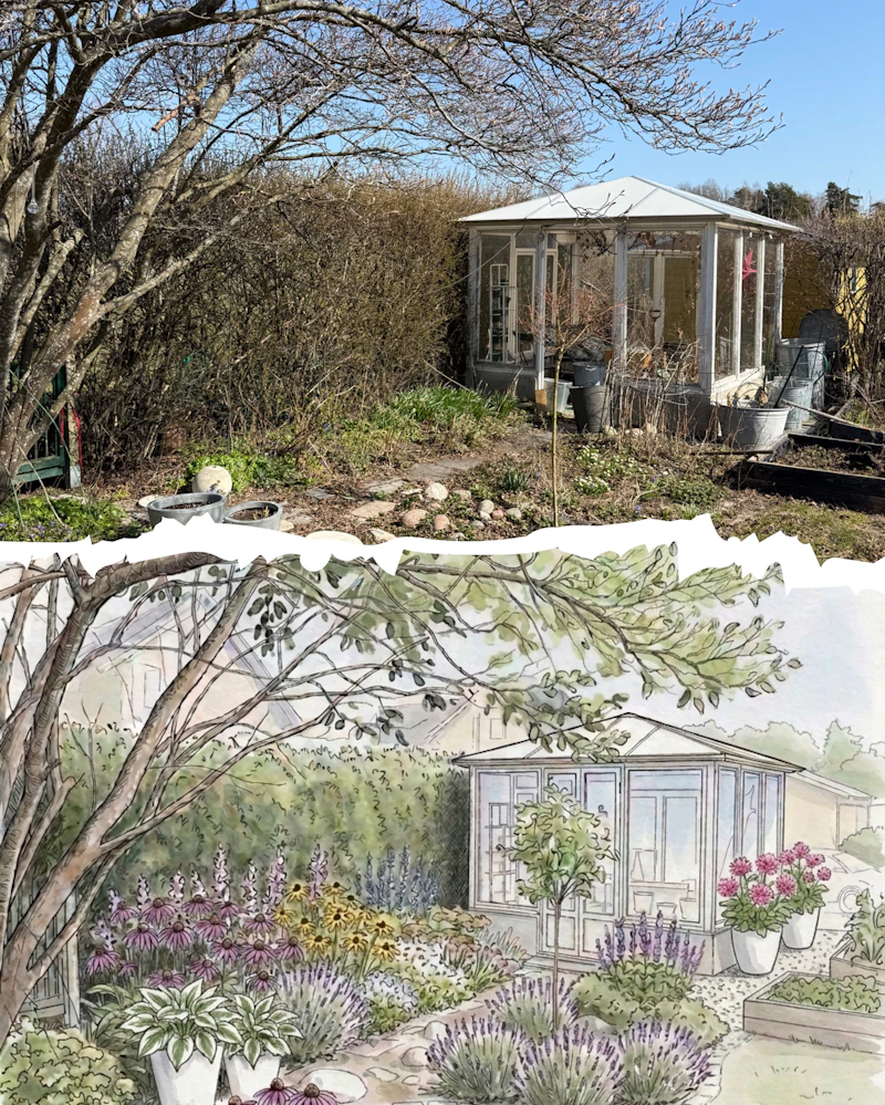 Ida Studio - AI garden design screenshot 3