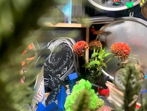 Sand Brain Portal gallery image