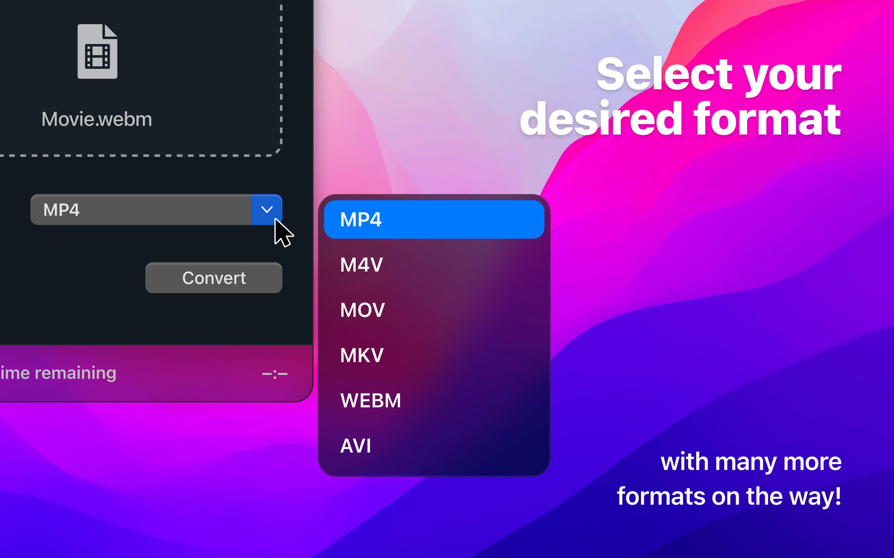 Video Converter media 3