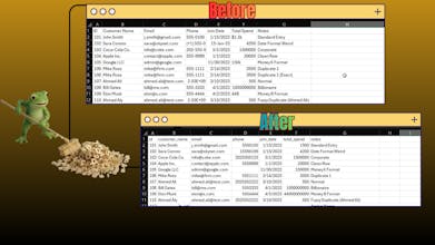 DataFrog gallery image