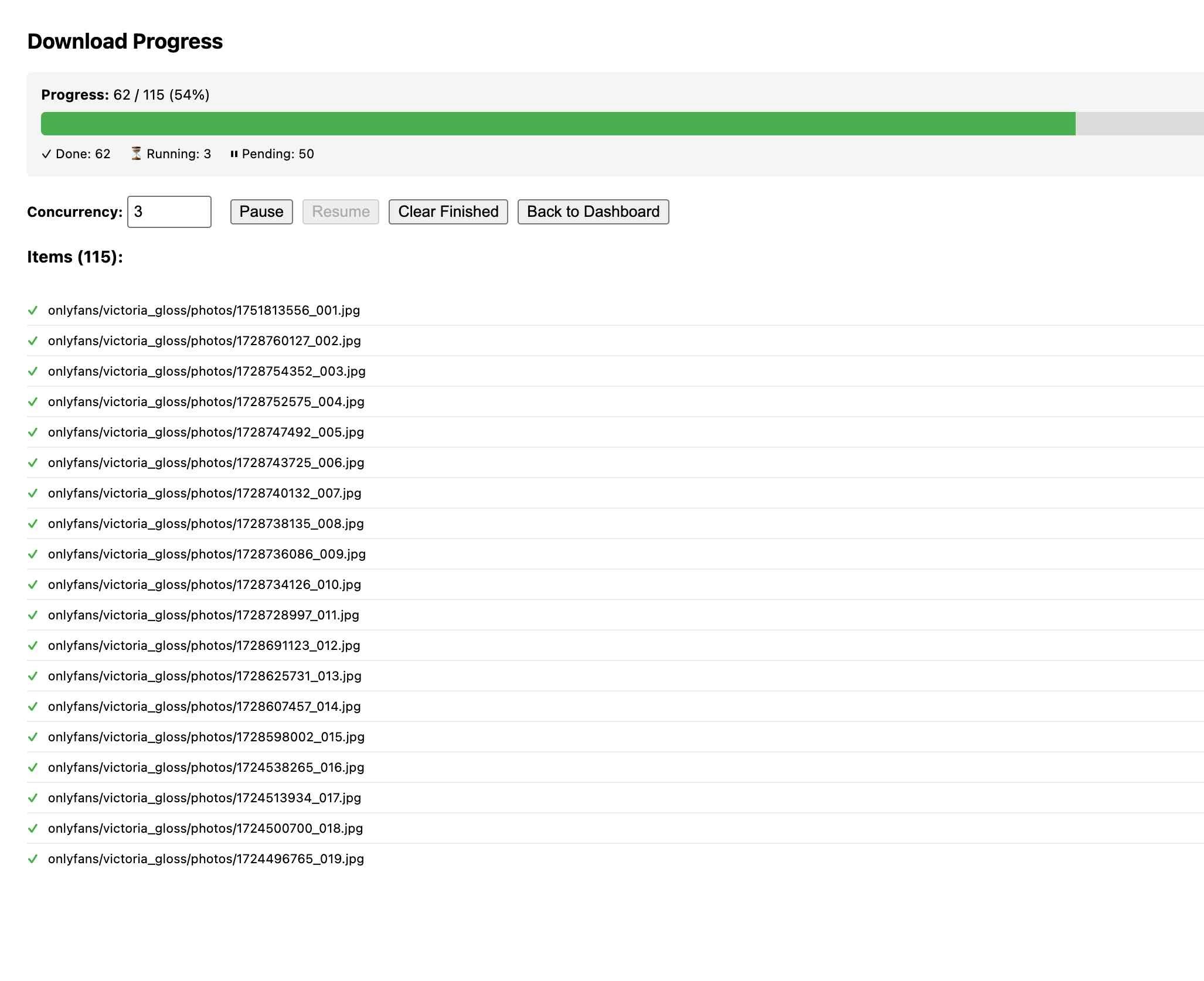 Onlyfans Downloader - Screenshot 3 showing product features and functionality
