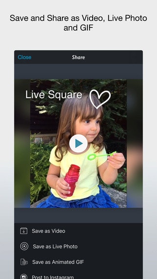 Live Square gallery image