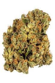 Frosting Strain