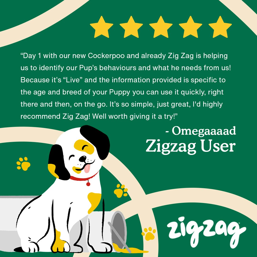 Zigzag Puppy Training App gallery image