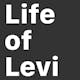 Life of Levi - Constraints are a gift.