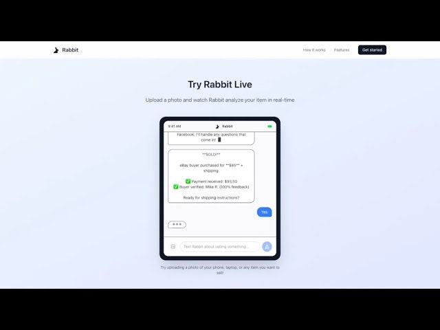 Rabbit gallery image