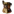 Doggys.net