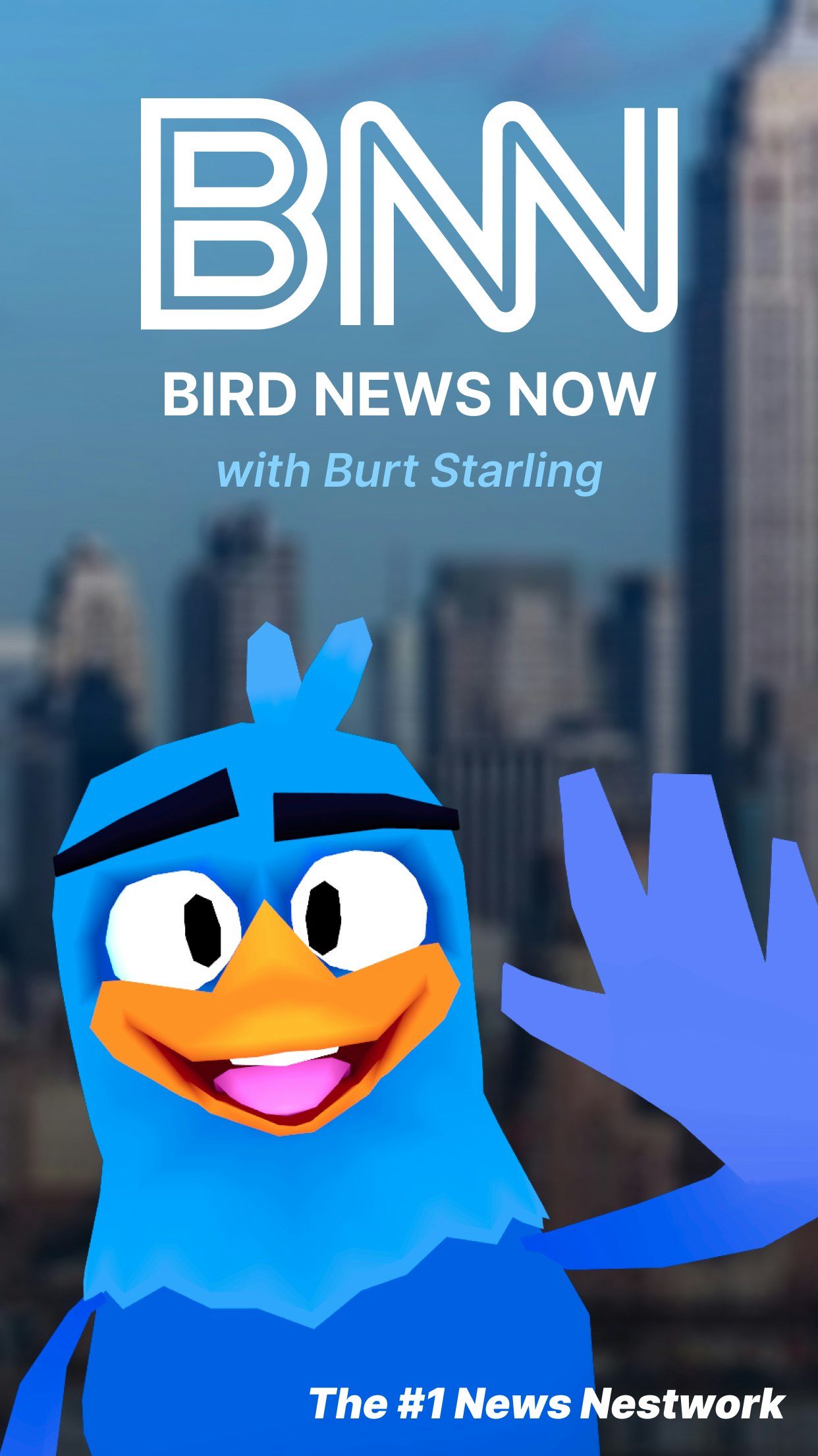 Bird News Now gallery image