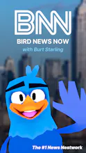 Bird News Now gallery image