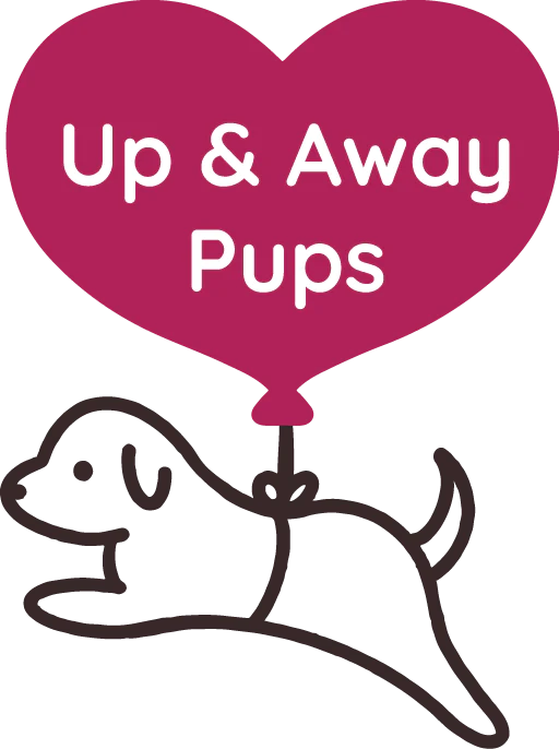 Pups up and away media 1