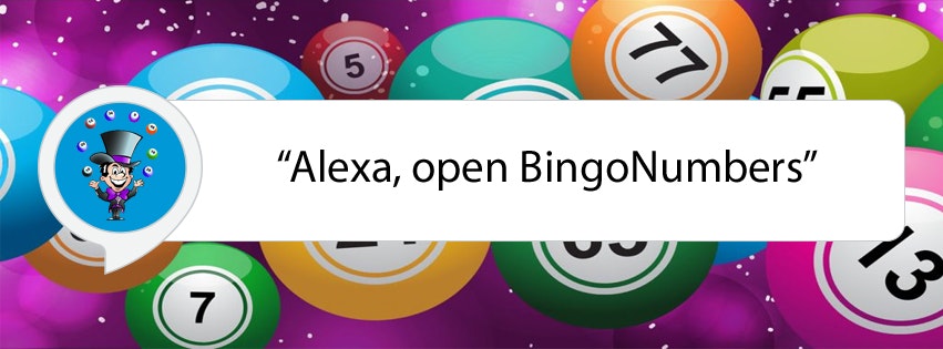 Amazon Alexa Skill Bingo gallery image