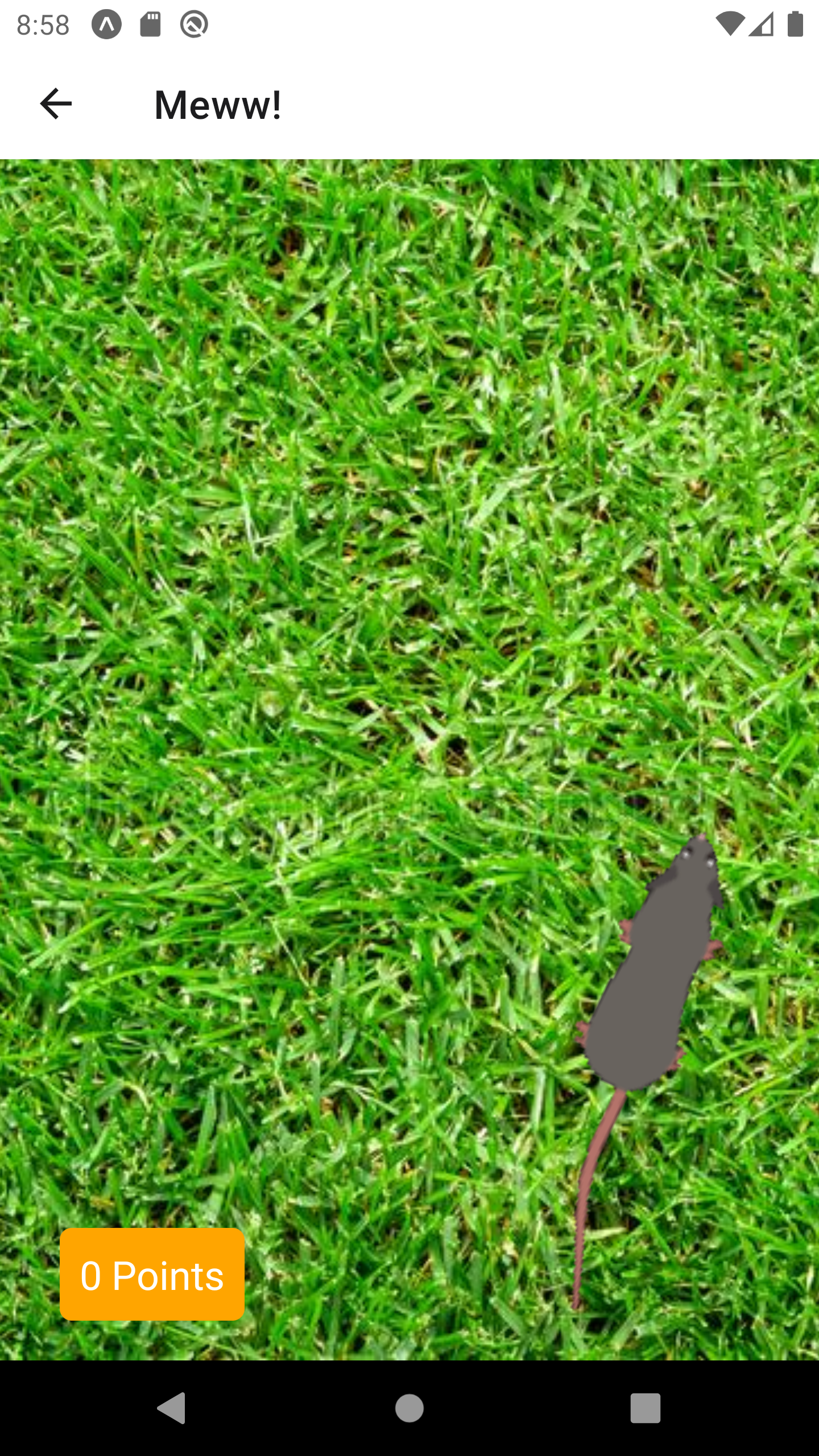 Giogattolo | Toy Cat App gallery image