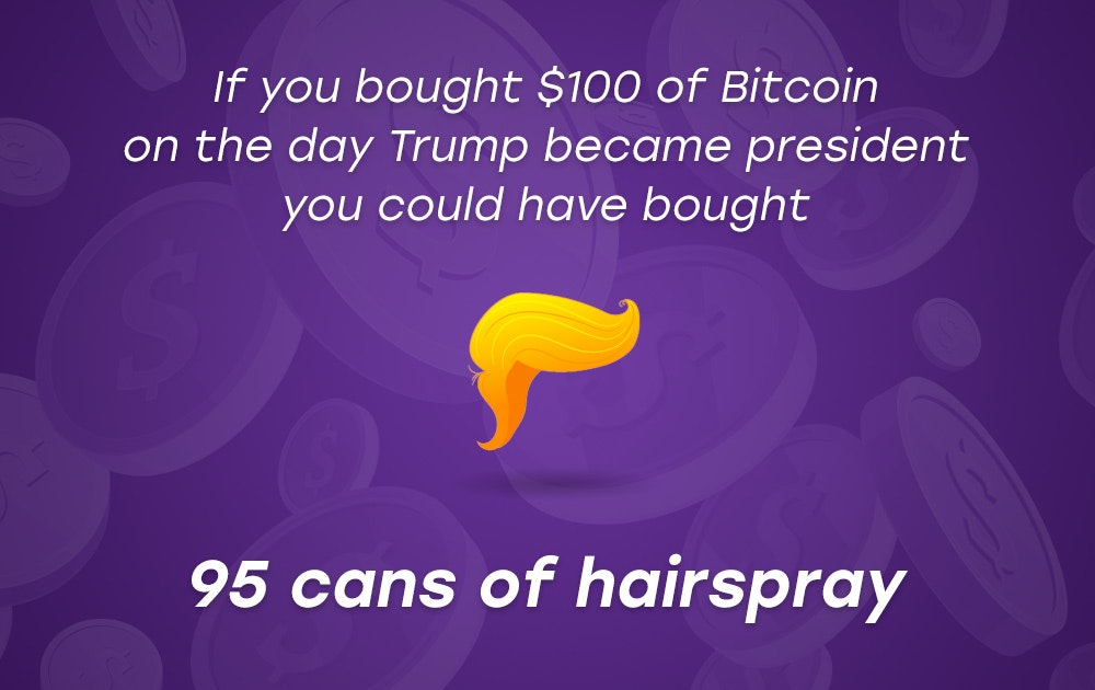 If You Had Bought Crypto gallery image