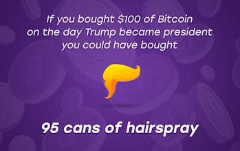 If You Had Bought Crypto gallery image