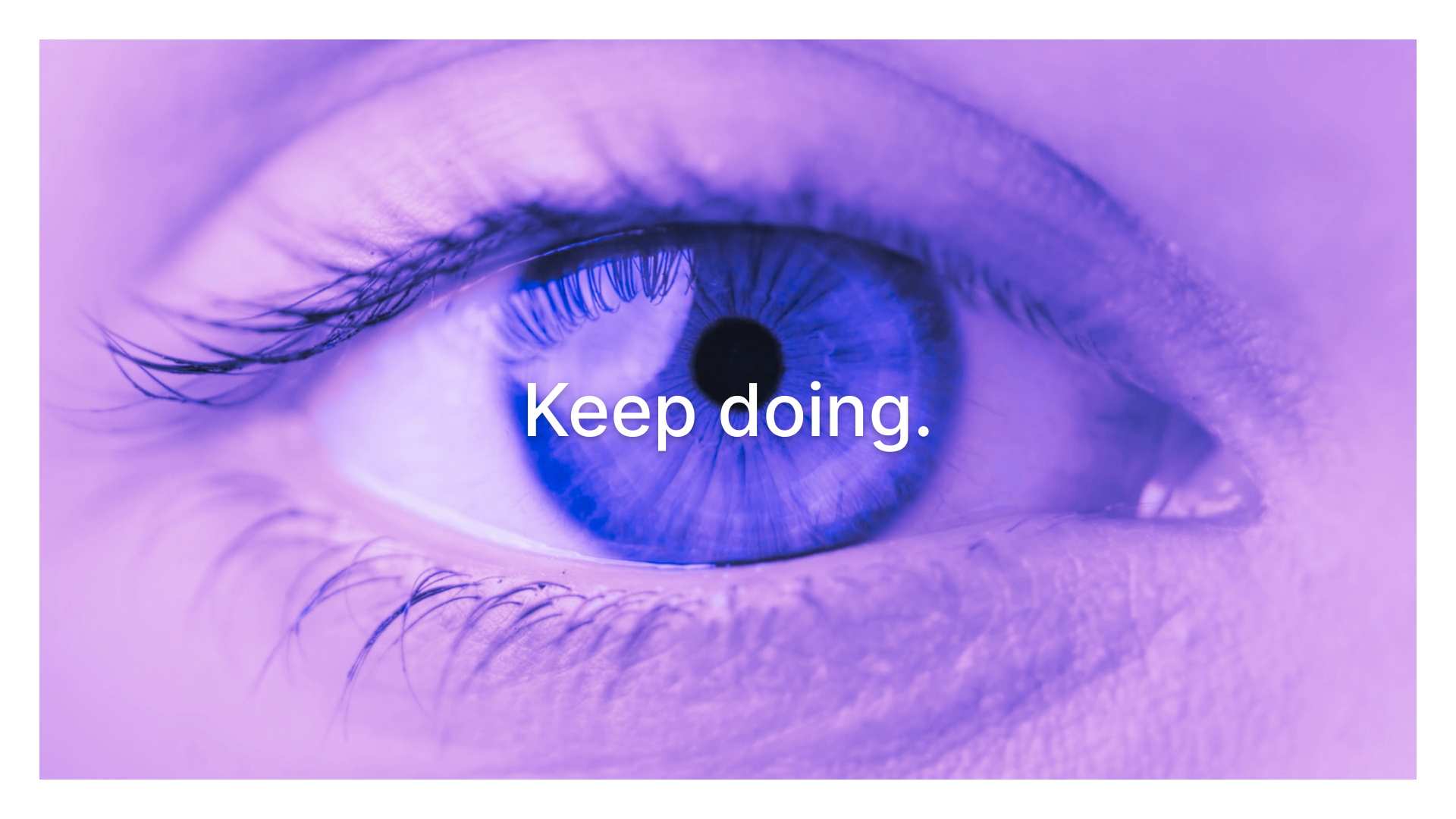 Echo AI gallery image