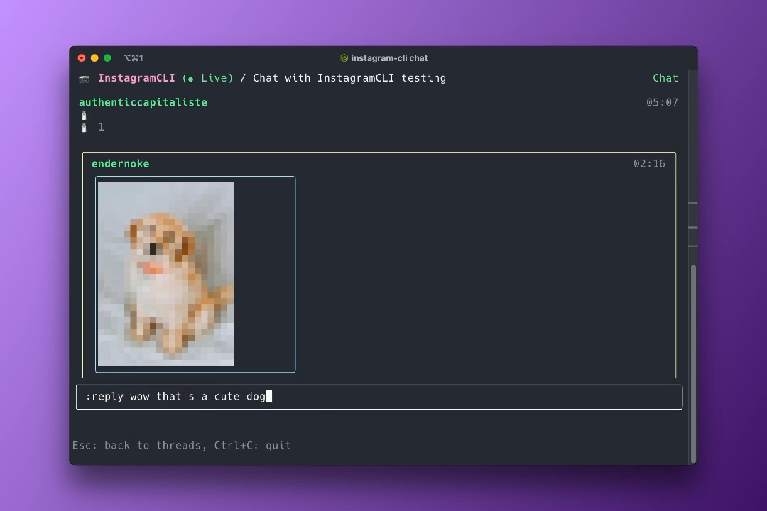 Instagram CLI - Screenshot 2 showing product features and functionality