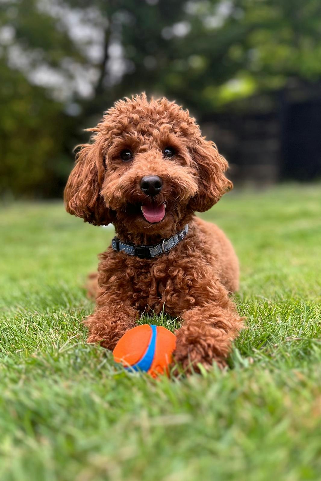 Harry's Accounting gallery image