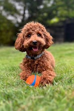 Harry's Accounting gallery image