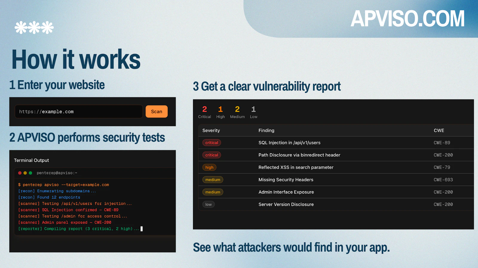APVISO AI Pentester for Websites screenshot 6