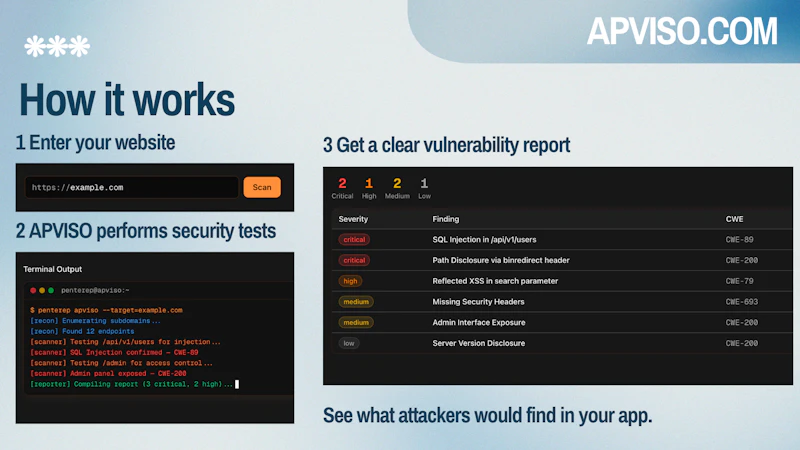 APVISO AI Pentester for Websites screenshot 6