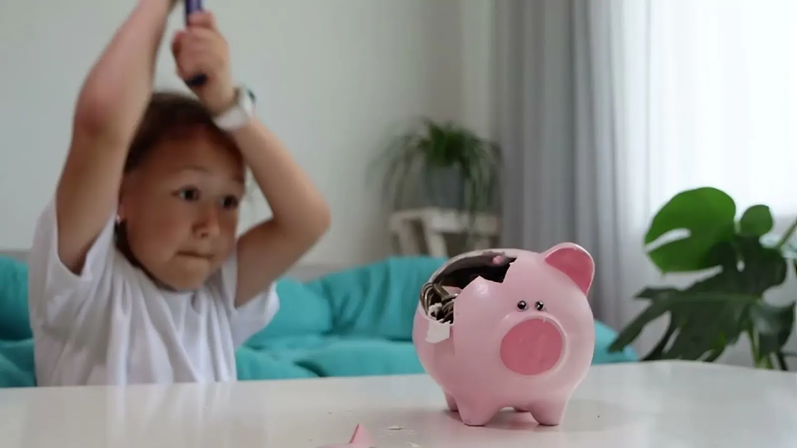 MemoryBank screenshot 1 (video preview)