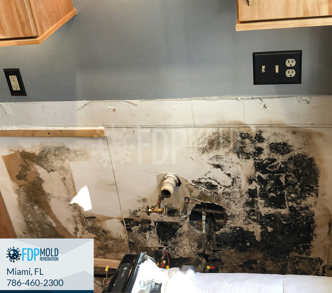 Mold Remediation in Dallas, TX gallery image