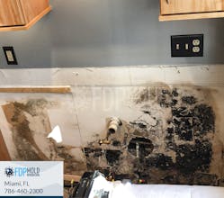Mold Remediation in Dallas, TX gallery image
