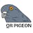 QR Pigeon