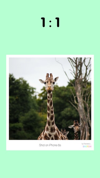 SHOTON : Shot on iPhone gallery image