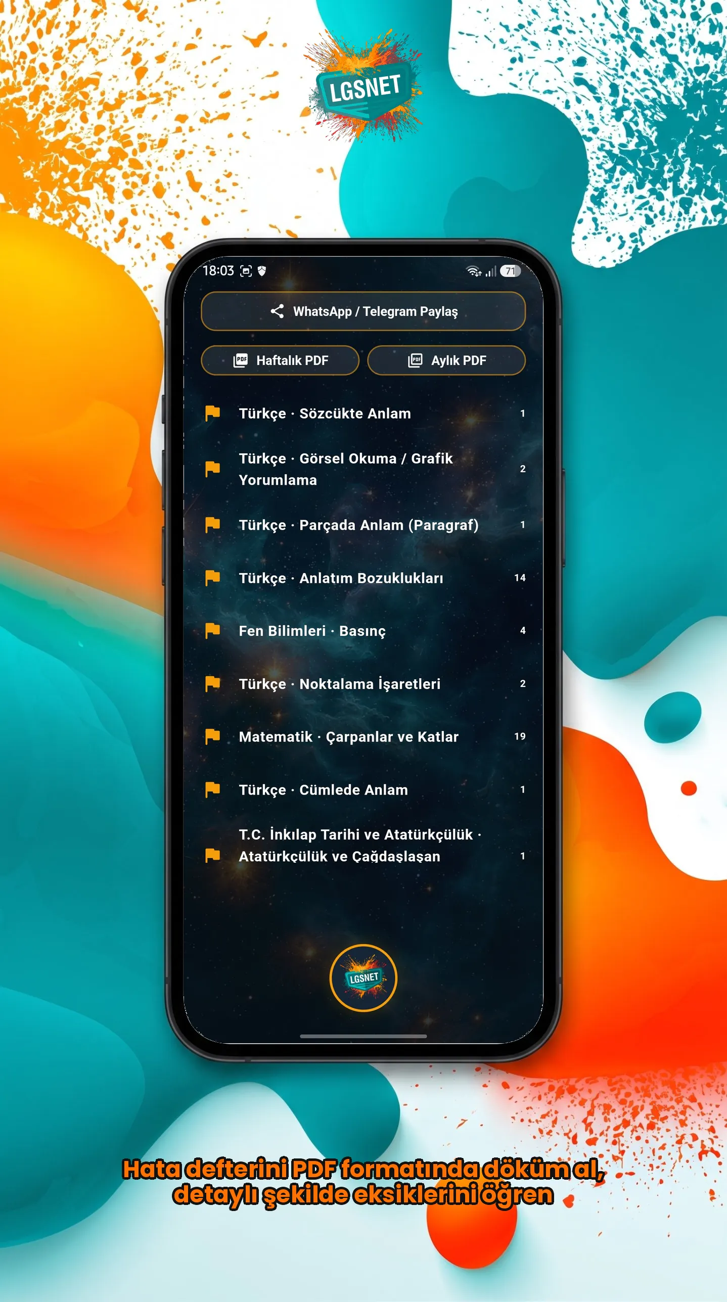 LGSNET gallery image