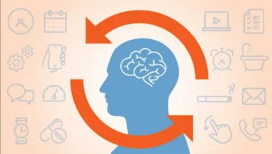 HabitLog.io gallery image