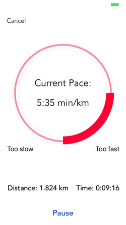 Paceroo gallery image