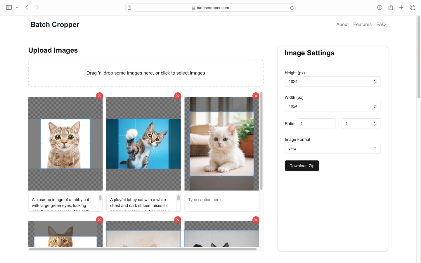 Batch Cropper - Free Bulk Image Resizing Tool screenshot 2 Batch Cropper - Free Bulk Image Resizing Tool screenshot 2