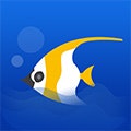 iMyFish--Focus Keeper