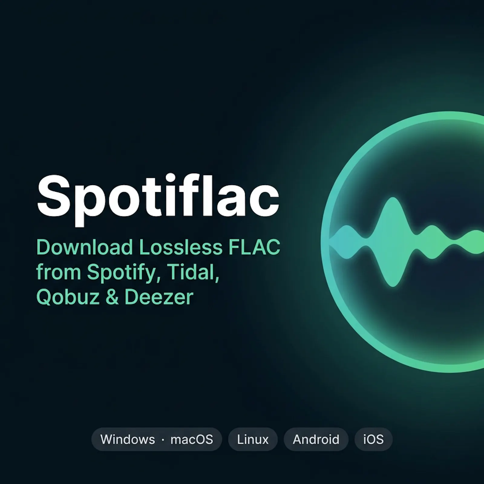 SpotiFLAC screenshot 1