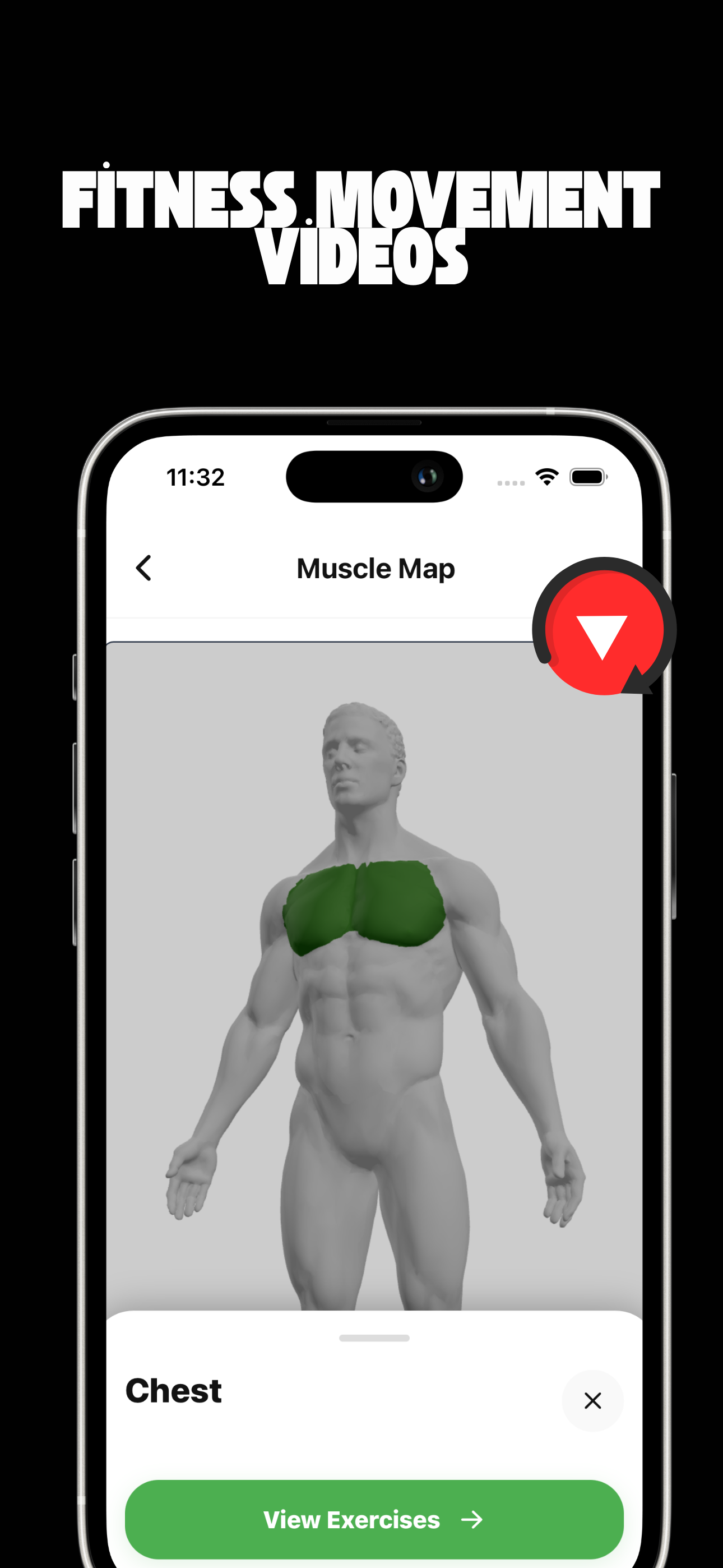 Bulltz Fitness media 3